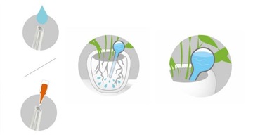 2 X KULE SZKLANE NAWADNIACZ DO KWIATÓW ROŚLIN 8/20