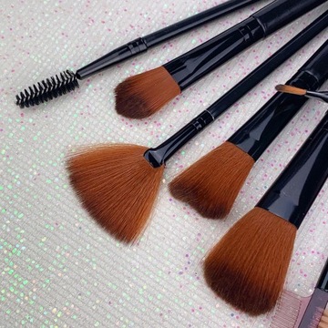 НАБОР КИСТЕЙ ДЛЯ МАКИЯЖА 12 ШТ. + ТЮБИК, ЧЕРНЫЙ