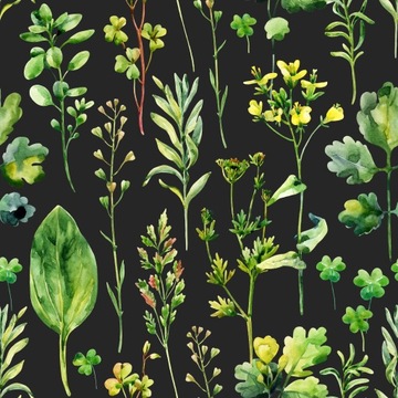 TAPETA POLSKA NATURA ZIOŁA ŁĄKA KWIAT POLNY 5176al