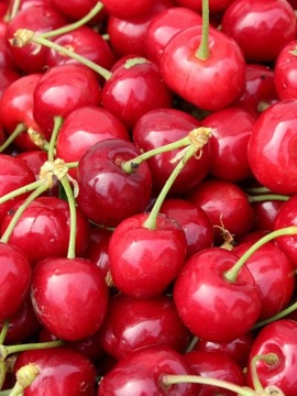 КАРТОН ЛУБЯНКА 1КГ для клубники MY FRUIT (упаковка 10 шт.)