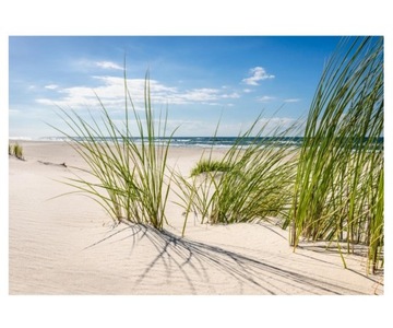 Fototapeta 368x254cm polska plaża bałtyk