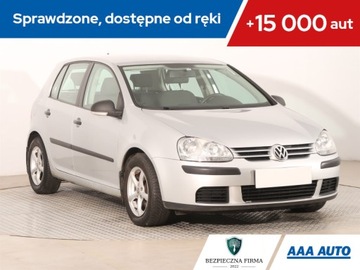 Volkswagen Golf V Hatchback 1.9 TDI 105KM 2008 VW Golf 1.9 TDI, Salon Polska, 1. Właściciel