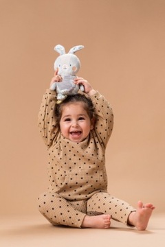 Taf Toys Музыкальный Кролик Райли