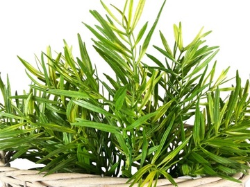 GAŁĄZKA ZIELONA BUKIET KWIATY SZTUCZNE DODATEK DO KOMPOZYCJI