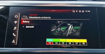 Audi 2024 Audi Q3 Sportback 45TFSI 245KM Quattro Sline Stronic PanoramaMatrixLEDTemp, zdjęcie 18