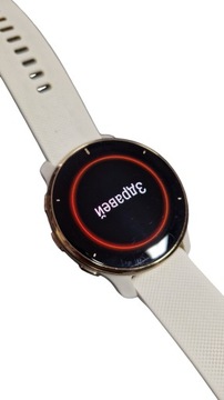 Умные часы GARMIN VENU 2 PLUS