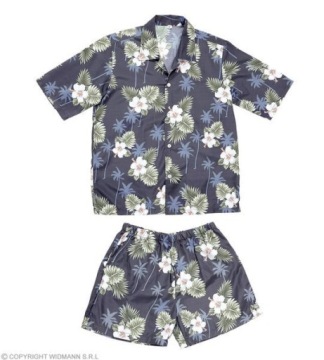 ГАВАЙСКИЙ НАряд ПАРНЯ ИЗ ТРОПИКИ ТУРИСТ АЛОХА XL