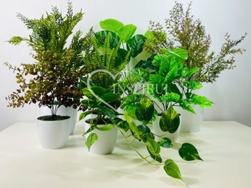 ЭВКАЛИПТ В ГОРШКЕ ЦВЕТ В ГОРШКАХ ИСКУССТВЕННЫЕ ЦВЕТЫ ДЛЯ ОФИСА ЛИСТЬЯ