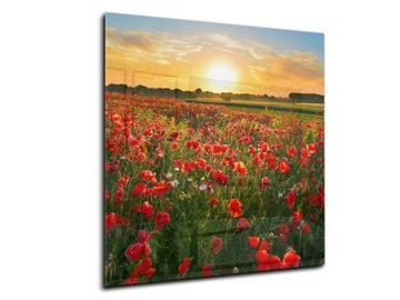 panel szklany do kuchni lacobel 50x55 maki