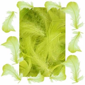 ХУДОЖЕСТВЕННЫЕ ИЗДЕЛИЯ ДЕКОРАТИВНЫЕ ПЕРЬЯ КАЛАДА