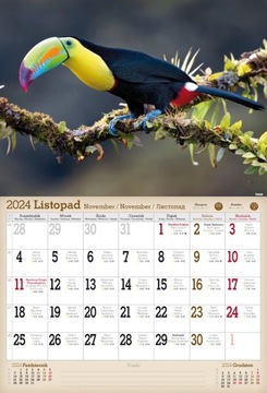 Настенный календарь А3 на 2024 год. Дикие животные.