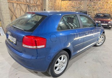 Audi A3 8P Hatchback 3d 1.6 102KM 2007 Audi A3 1.6 Mpi 102KM Piekna Sprawdz, zdjęcie 16