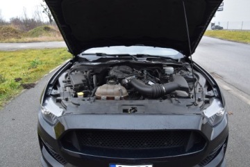 Ford Mustang VI 2015 FORD USA MUSTANG coupe 3.7 309 KM, zdjęcie 13