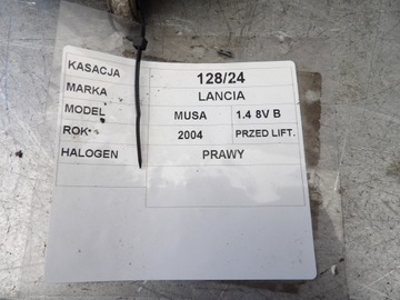 LANCIA MUSA HALOGEN PRAVÝ