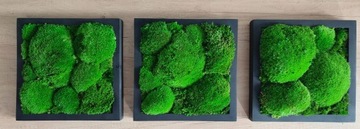 Подушка мох триптих 27х27 см