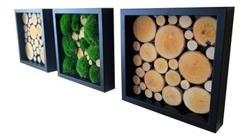 Живая рамка для фотографий, подушка из мха, дерево, 30см/30см