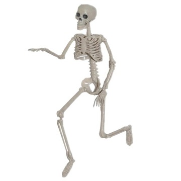 Szkielet realistyczny nagrobek na imprezę Halloween, wys. 15 cm
