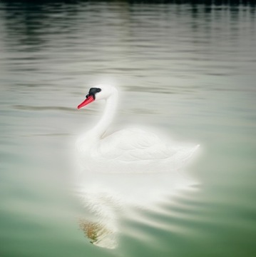 TG71080 ПЛАСТИКОВАЯ ФИГУРА ЛЕБЕДЯ ПЛАВАЮЩАЯ ФИГУРА ЛЕБЕДЯ ДЛЯ ПРУДА