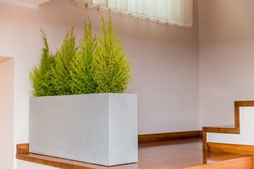 Donica z betonu architektonicznego BOX 35x35x35