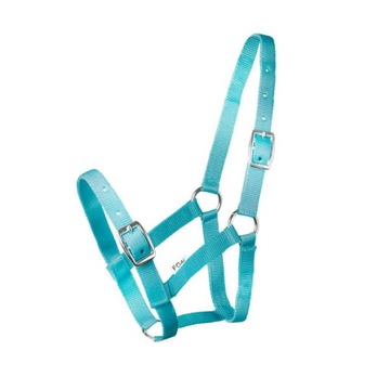 Kantar START na źrebię