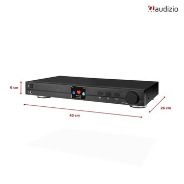 Тюнер интернет-радио с WIFI BT FM DAB+ DLNA