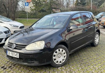 Volkswagen Golf V Hatchback 2.0 TDI 140KM 2005 Volkswagen Golf 2.0 diesel 2005 2.0 Diesel 140KM