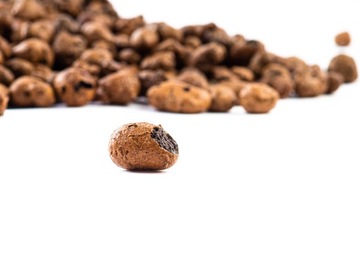 САДОВОДСТВО LCA дренажные гранулы для грунта 50л