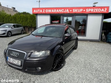 Audi A3 8P Hatchback 3d 1.8 TFSI 160KM 2007 Audi A3 Sportback Audi A3 Sportback 1.8 Benzyna 160KM