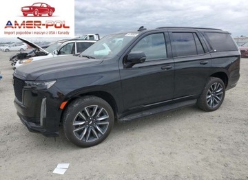 Cadillac Escalade III 2023 Cadillac Escalade Sport 2023 6.2l 6.2 Benzyna 420KM