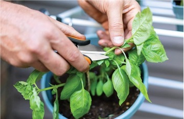 НОЖНИЦЫ ДЛЯ ТРАВ И ЦВЕТОВ FISKARS SOLID SP220