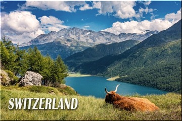SZWAJCARIA SWITZERLAND MAGNES MAGNESY NA LODÓWKĘ