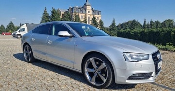 Audi A5 8T Cabrio Facelifting 2.0 TDI 177KM 2012 Audi A5 Sportback Nowy Rozrzad SALON Navi przebieg wpisuje na fakturzeOrg., zdjęcie 5