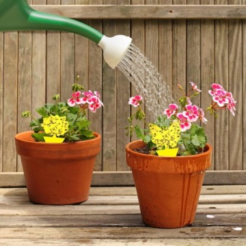 ПАП ДЛЯ ТЕПЛИЧНЫХ ГОРШКОВ ОТ ТЛИ, НАЗЕМНЫХ КРУЖЕК, МУРАВЕЙ, МУРАВЬЕВ, 12 ШТ.