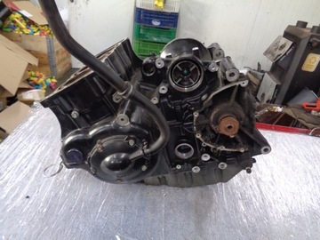 Двигатель Triumph Tiger 955 Нижний двигатель