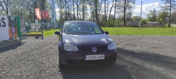 Volkswagen Golf V Hatchback 1.4 i 16V 75KM 2005 Volkswagen Golf Bezwypadkowy, zdjęcie 1