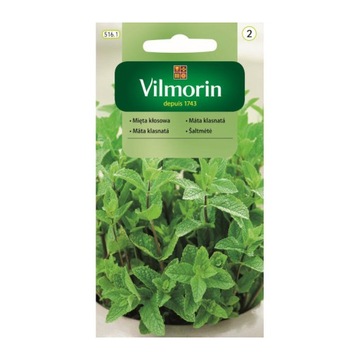 MIĘTA kłosowa AROMATYCZNA 0,1g VILMORIN