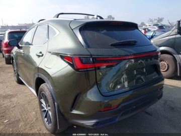 Lexus NX II 2024 Lexus NX 2024 Lexus NX 250 FWD 2.5 Benzyna 203KM, zdjęcie 2