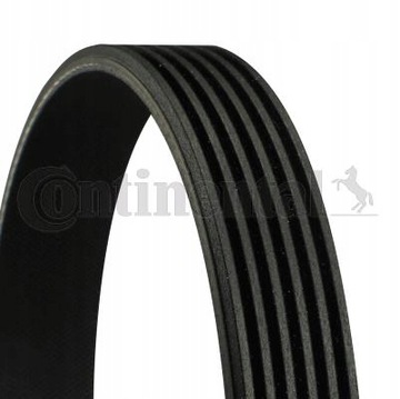 CONTINENTAL 6PK2130 Pasek klinowy wielorowkowy