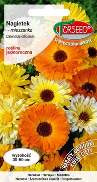 Nagietek MIX mieszanka 3g nasiona Torseed POLECAM