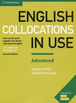 English Collocations In Use Advanced