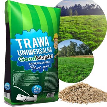 TRAWA UNIWERSALNA 5kg na 200m2 ZAGĘSZCZAJĄCA BLUE