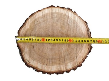 Срез дуба для тротуара, садовой дорожки, диаметр 25 см.