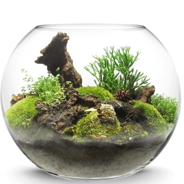 Стеклянная шаровая ваза 21 x 19см гидропоника