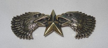 Głowa orła z gwiazdą, ozdoba, emblemat orzeł