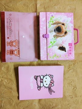 Zestaw teczka organizer Hello Kitty Dog Princess