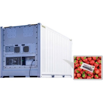 Rejestrator Temperatury przenośny USB jednorazowy