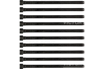 Болты головки REINZ 14-35738-01 5607961