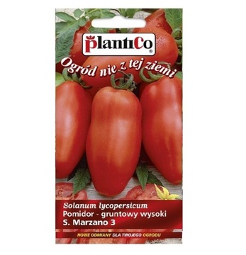 NASIONA POMIDOR SAN MARZANO 3 GRUNT 0,2G PRZETWORY