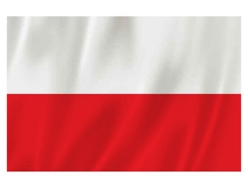 КОМПЛЕКТ ОБУВИ ПЕННАЯ обувь TORINO 45 Утепленные резиновые сапоги + Рабочие перчатки