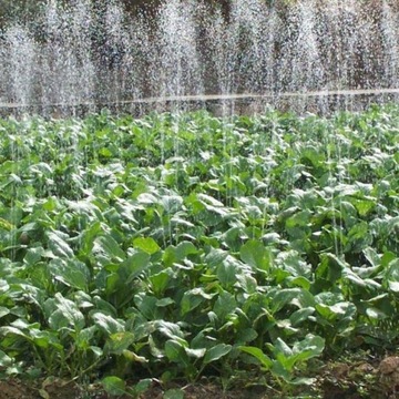 САДОВЫЙ ШЛАНГ КАПЕЛЬНАЯ ОРОШЕНИЕ ДЛЯ ПОЛИВА 10м